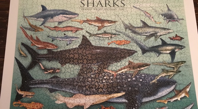 Shark Week Blogiversary!! One Year of PuzzlePaws. Giveaway inside!
